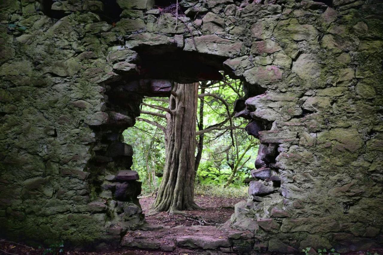 Old Leckie Farmstay Stirling Dış mekan fotoğraf